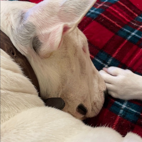 Meet your Posher, Denise - Picture 1 of 1